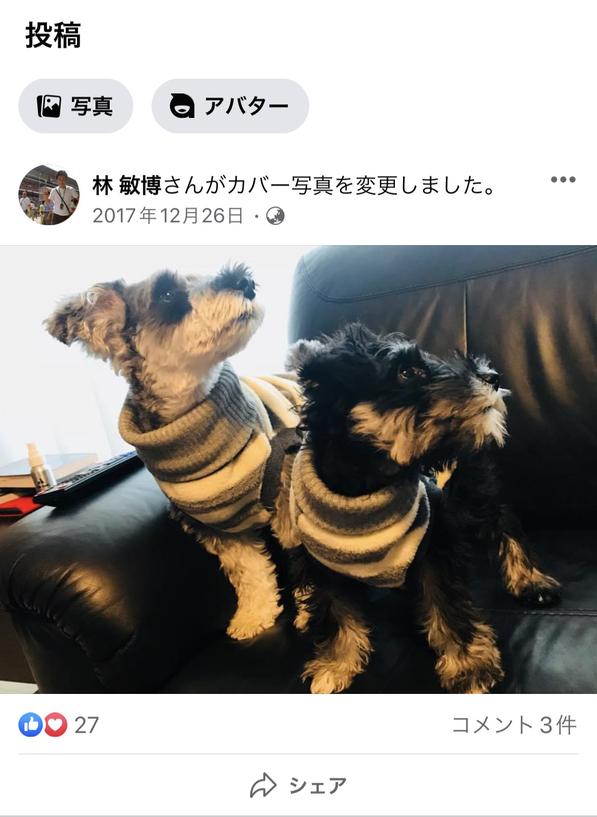 hayashi-toshihiro dog